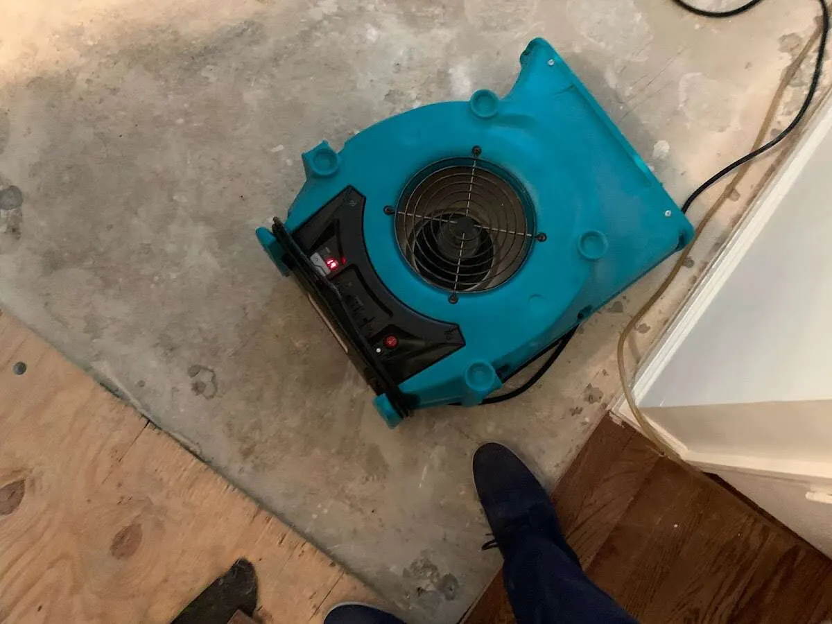 Air mover drying subfloor during Leak Detection & Repair in Dingman
